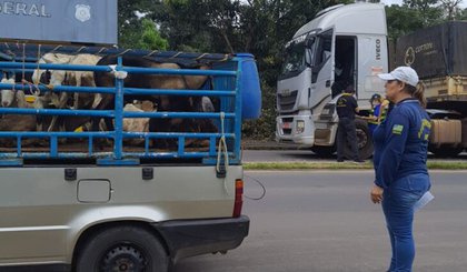 Adapi realiza fiscalização móvel em 7 municípios do Piauí. (Foto: Reprodução)