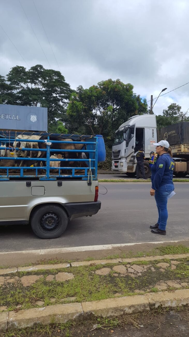 Adapi realiza fiscalização móvel em 7 municípios do Piauí.