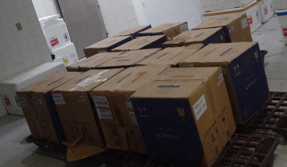 Foram entregues à Sesapi 58 mil doses da Pfizer Baby e 25 mil de Pfizer Pediátricas. (Foto: Reprodução)
