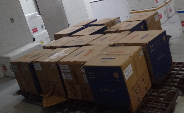 Foram entregues à Sesapi 58 mil doses da Pfizer Baby e 25 mil de Pfizer Pediátricas.
