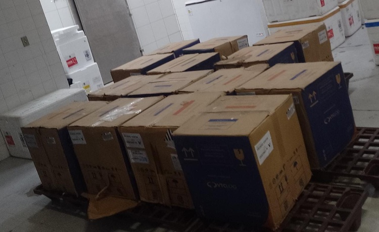 Foram entregues à Sesapi 58 mil doses da Pfizer Baby e 25 mil de Pfizer Pediátricas.