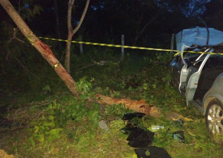 Idoso morre após veículo colidir contra árvore em Floriano.