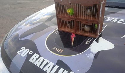 Polícia Militar prende cearense por prática de crime ambiental no Piauí. (Foto: PM-PI)