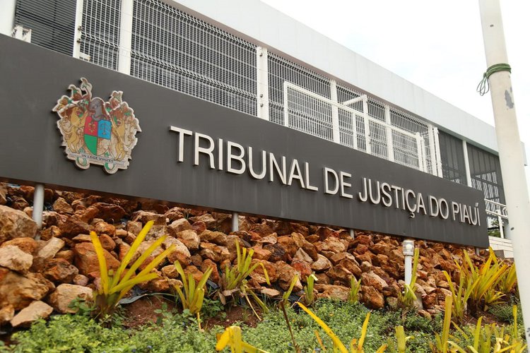 TJ-PI vai realizar quase 500 audiências de violência contra a mulher esta semana.