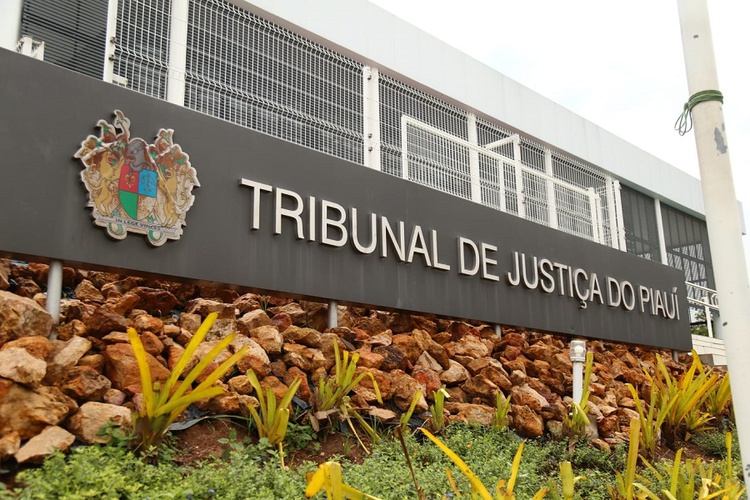 TJ-PI vai realizar quase 500 audiências de violência contra a mulher esta semana.