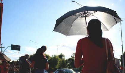 Estiagem no Piauí. (Foto: O Dia)