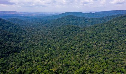 Multas por desmatamento na Amazônia aumentam 219% no 1º trimestre. (Foto: TV Brasil) Multas por desmatamento na Amazônia aumentam 219% no 1º trimestre. (Foto: TV Brasil)