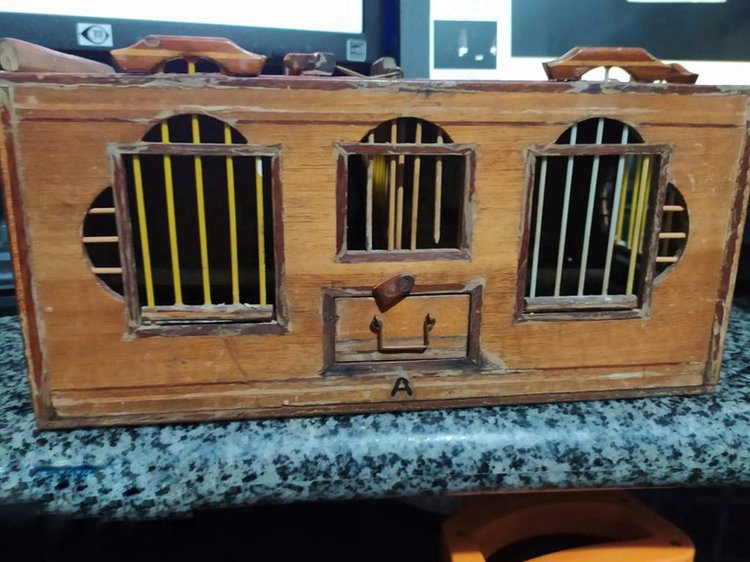 As aves estavam sob posse de um passageiro, que não possuía nenhum tipo de licença ou registro.