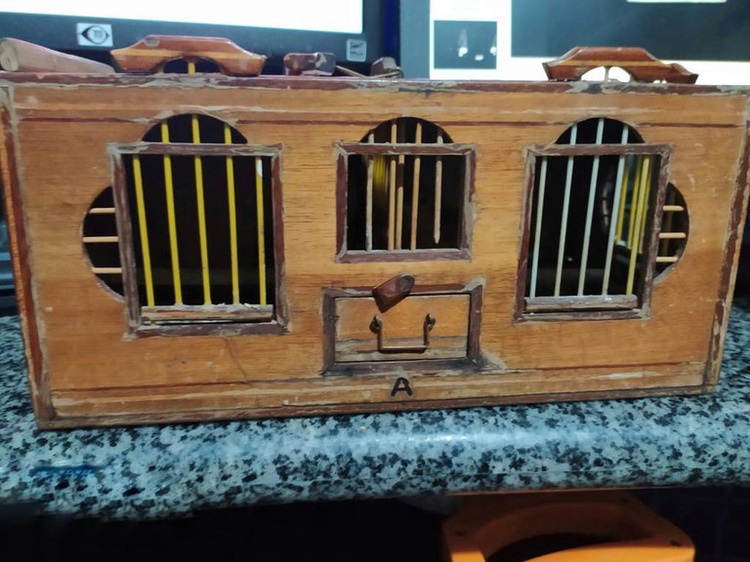 As aves estavam sob posse de um passageiro, que não possuía nenhum tipo de licença ou registro.