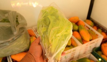 Floriano: alimentos produzidos em agricultura familiar compõe merenda de escolas. (Foto: Secom/Prefeitura de Floriano)