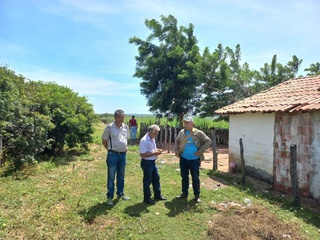 Por meio da Vigilância Ambiental