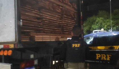 APREENSÃO DE MADEIRA (Foto: PRF-PI)