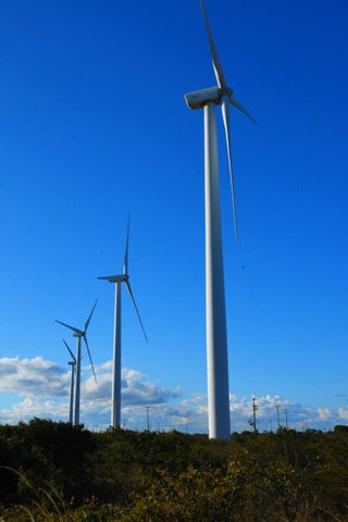 energia eólica