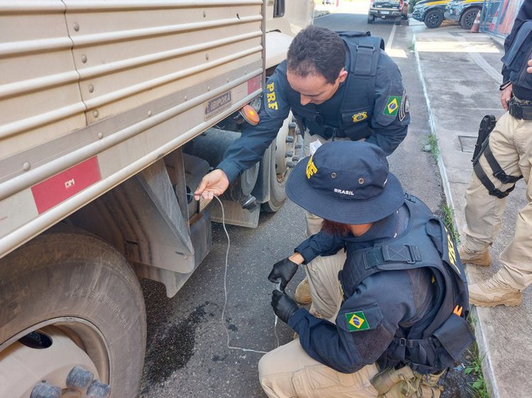 FISCALIZAÇÃO AMBIENTAL