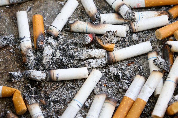 cigarros tabagismo cinzas