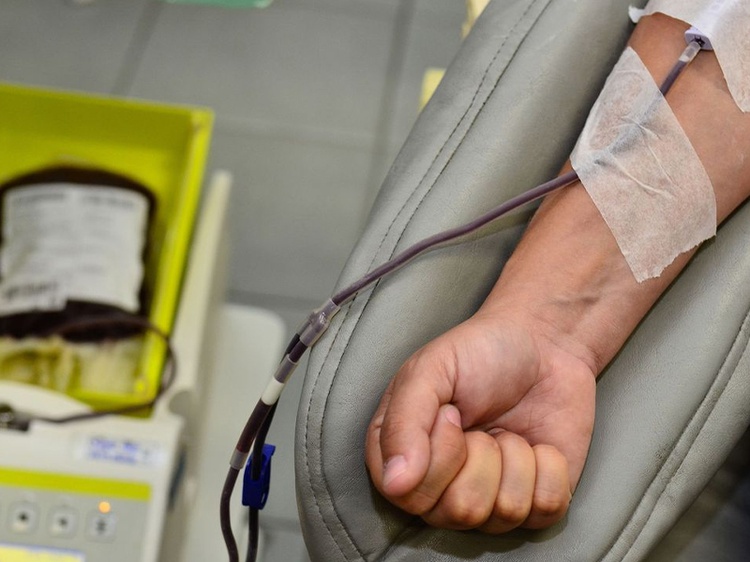 doação de sangue