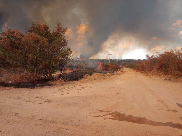incendio canto do buriti