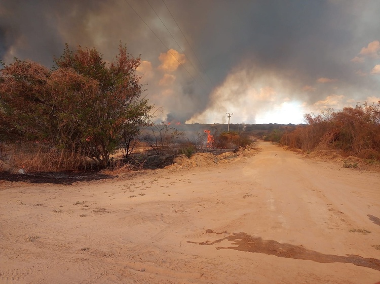 incendio canto do buriti