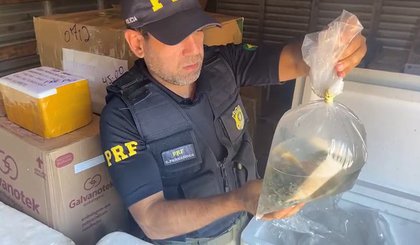 jhgk (Foto: Divulgação/PRF)