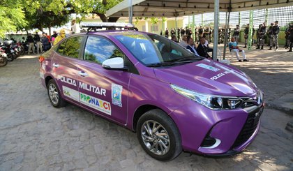 viatura lilas de floriano (Foto: Divulgação/PM-PI)
