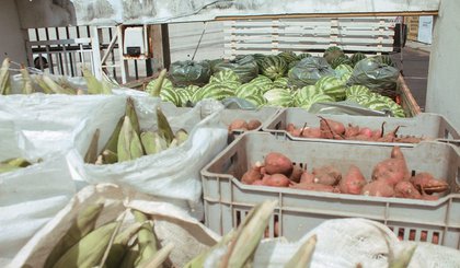 agricultura alimento (Foto: Divulgação/Governo do Piauí)