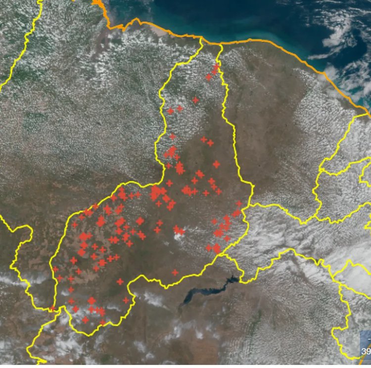 Piauí registra maior número de queimadas do Brasil nos últimos dias..