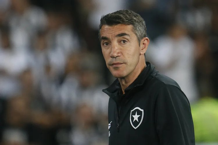 Técnico do Botafogo durante jogo do time
