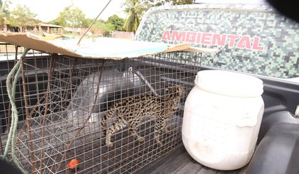 3257 (Foto: Divulgação/BPA)