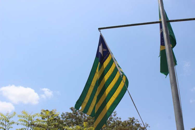 Bandeira do Piauí