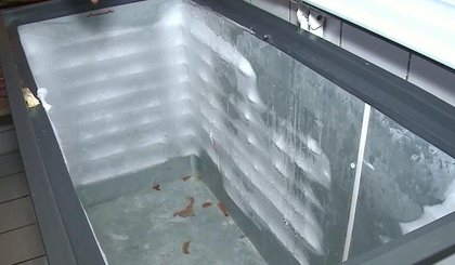 Crianças são liberadas de aulas por fata de merenda na escola (Foto: TV Clube) Crianças são liberadas de aulas por fata de merenda na escola (Foto: TV Clube)