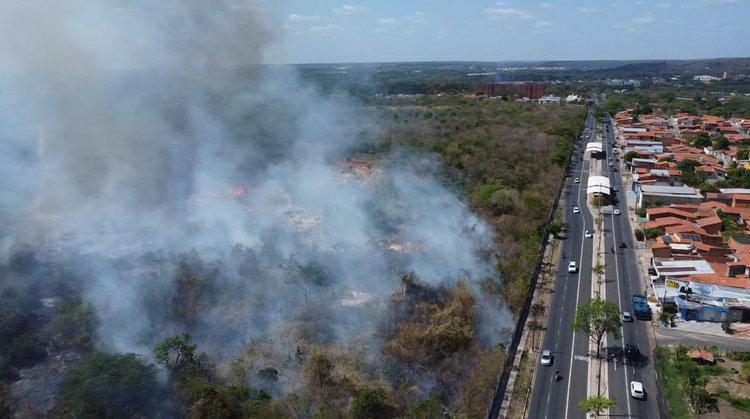 Incêndio atinge vegetação em terreno da UFPI, em Teresina