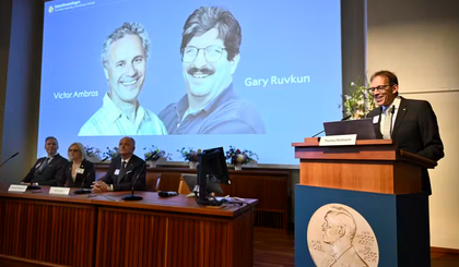 O presidente do Comitê Nobel, Thomas Perlmann, anuncia os americanos Victor Ambros e Gary Ruvkun, que aparecem na tela, como vencedores do Prêmio Nobel de Fisiologia ou Medicina 2024. (Foto: Christine Olsson/TT News Agency via AP) O presidente do Comitê Nobel, Thomas Perlmann, anuncia os americanos Victor Ambros e Gary Ruvkun, que aparecem na tela, como vencedores do Prêmio Nobel de Fisiologia ou Medicina 2024. (Foto: Christine Olsson/TT News Agency via AP)