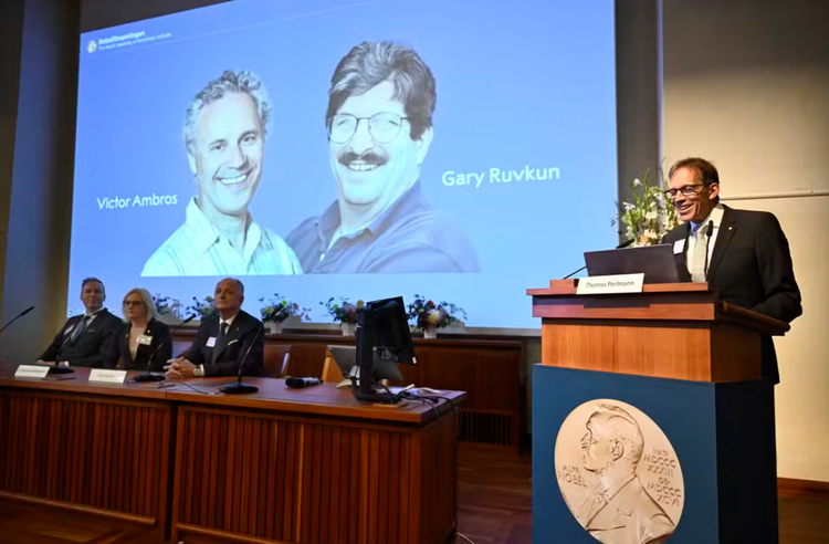 O presidente do Comitê Nobel, Thomas Perlmann, anuncia os americanos Victor Ambros e Gary Ruvkun, que aparecem na tela, como vencedores do Prêmio Nobel de Fisiologia ou Medicina 2024.