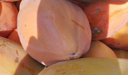 Produtos da Agricultura Familiar (Foto: Divulgação / Prefeitura Municipal de Floriano)