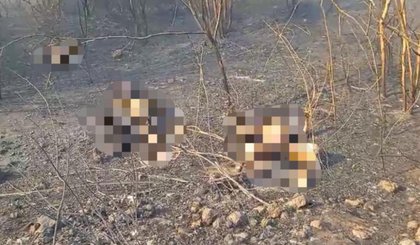 Quatro pessoas morreram durante incendios na comunidade Santa Clara, em Canto do Buriti (Foto: Reproducao / Redes sociais) Quatro pessoas morreram durante incendios na comunidade Santa Clara, em Canto do Buriti (Foto: Reproducao / Redes sociais)