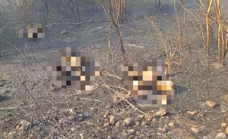 Quatro pessoas morreram durante incendios na comunidade Santa Clara, em Canto do Buriti