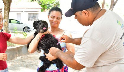 Saúde realiza com sucesso o Dia D de Vacinação Antirrábica (Foto: Divulgação / Prefeitura Municipal de Floriano)