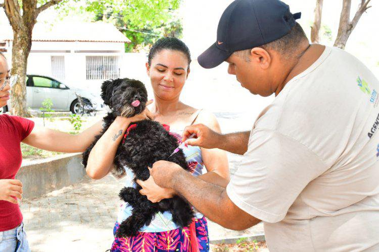 Saúde realiza com sucesso o Dia D de Vacinação Antirrábica