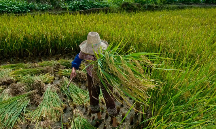 82,6% das vítimas entre 2016 e 2023 são negras, aponta CPT.