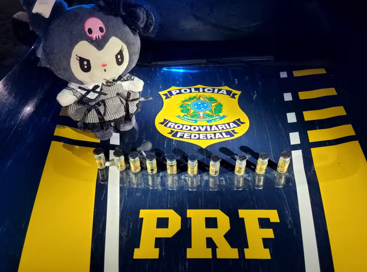 Anabolizantes estavam dentro de boneco de pelúcia.
