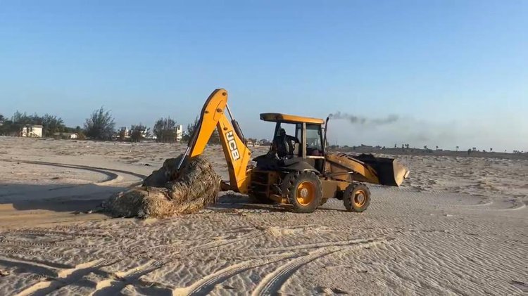 Corpo de Baleia encalhado na Praia de Maramar