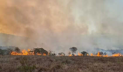 Incêndio demorou cinco dias para ser apagado pelas autoridades. (Foto: Reprodução/Polícia Militar de Meio Ambiente) Incêndio demorou cinco dias para ser apagado pelas autoridades. (Foto: Reprodução/Polícia Militar de Meio Ambiente)