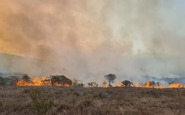 Incêndio demorou cinco dias para ser apagado pelas autoridades.