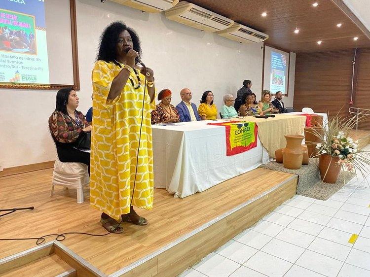 Mês da consciência negra