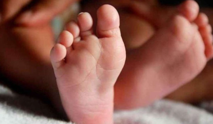 Bebê (Foto: Reprodução) Bebê (Foto: Reprodução)