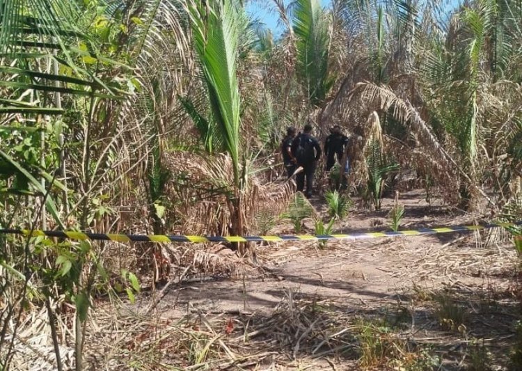 Corpos de mulheres são achados na Santa Maria; vítimas seriam irmãs desaparecidas