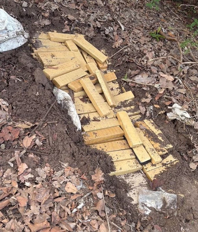 Droga estava enterrada em uma trilha, que era acessada através da casa dos suspeitos.