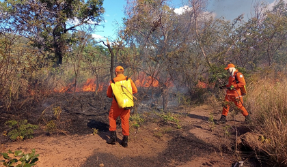 Incêndios lideram ocorrências atendidas pelo 4° GBM em Picos em 2024 (Foto: Corpo de Bombeiros)