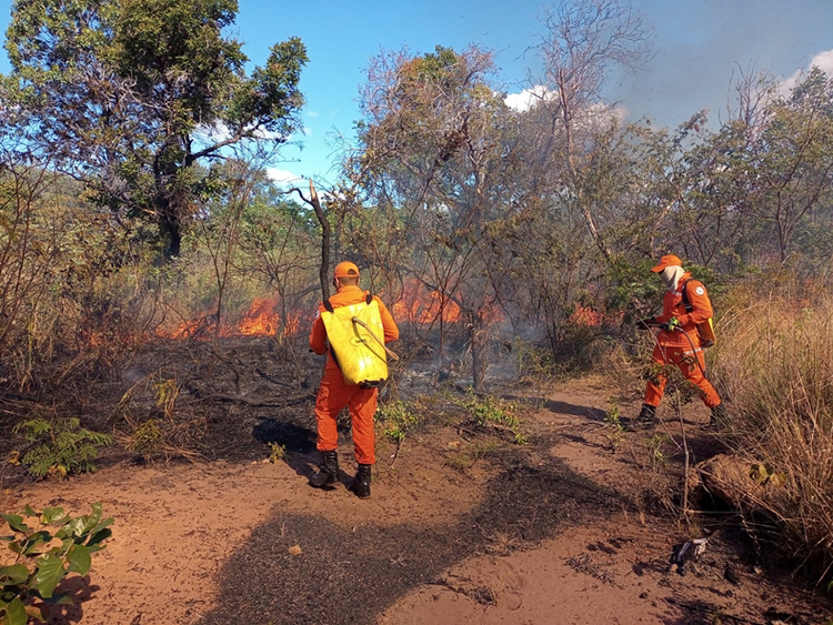 Incêndios lideram ocorrências atendidas pelo 4° GBM em Picos em 2024