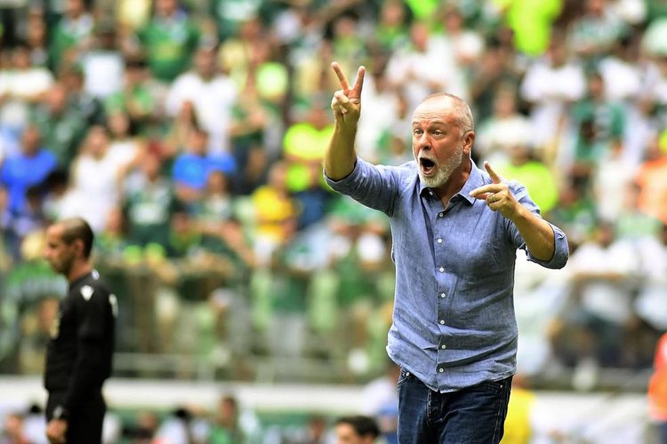 Mano Menezes em Palmeiras x Fluminense, no Brasileiro 2024